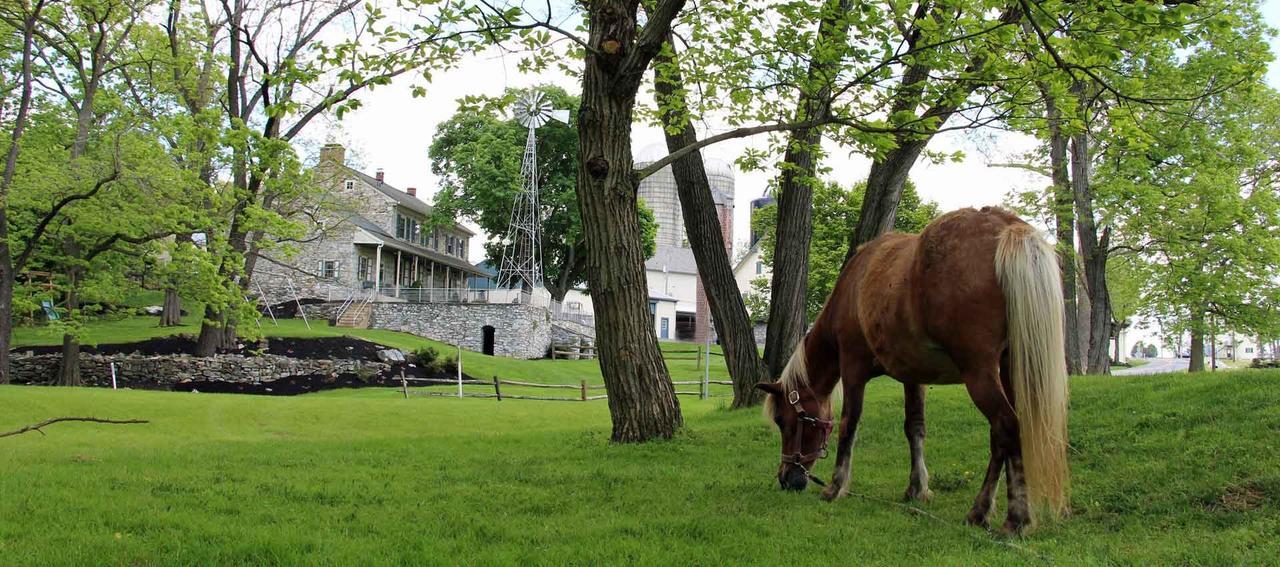 Rocky Acre Farm Bed & Breakfast Mount Joy Exterior photo